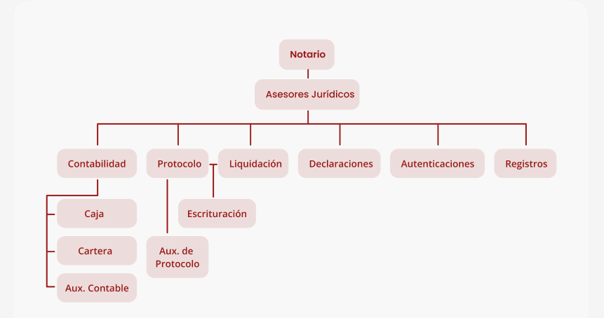 Diagnóstico